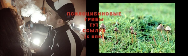 мяу мяу кристалл Бородино