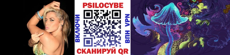 Галлюциногенные грибы Psilocybe  Купить закладки  Волжск 